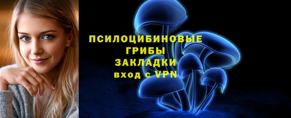 гидра Магадан