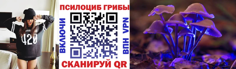 Псилоцибиновые грибы прущие грибы  где купить наркоту  Среднеколымск 